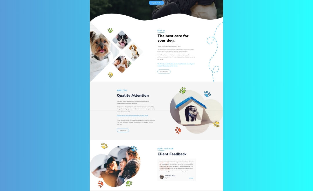 Website Design Central Coast NSW – Dog Daycare