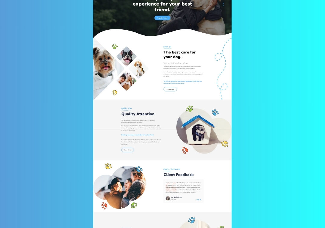 Website Design Central Coast NSW – Dog Daycare